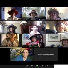 Screen Shot 2020-06-23 at 2.46.25 PM