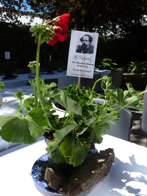 Welcome to our afternoon tea